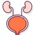 Urology